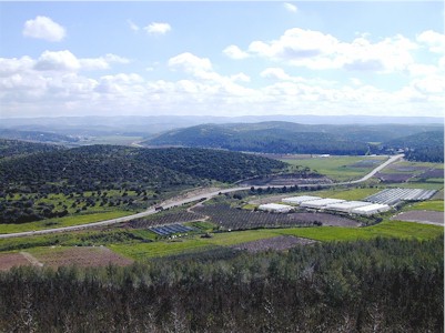 Elah_Valley_from_Azekah.jpg (39735 bytes)